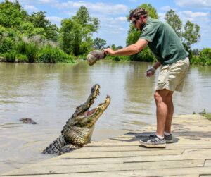 Alligator Alley